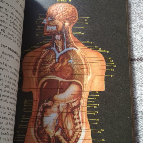 Anthropology book used, high school decade 1950