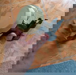  Δεκτης Edision