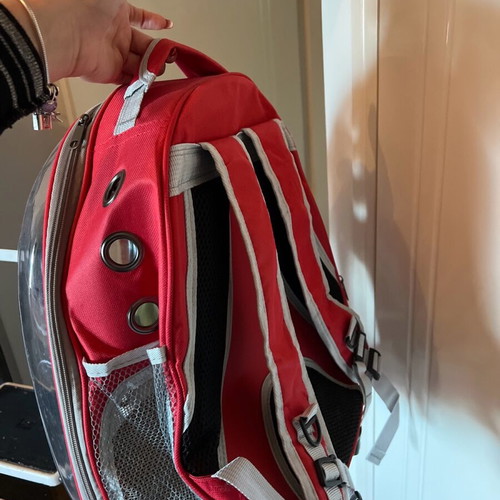 Small animal carrier backpack like new