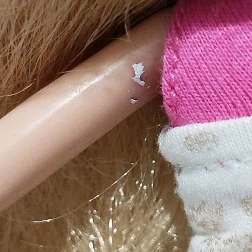 Bratz Pampered Petz Cloe used, incomplete with flaws