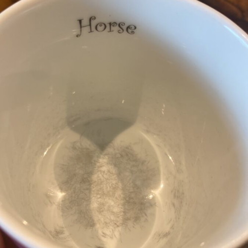 Mug used with horse design