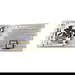Pokemon Λευκή Έκδοση (Nintendo DS)