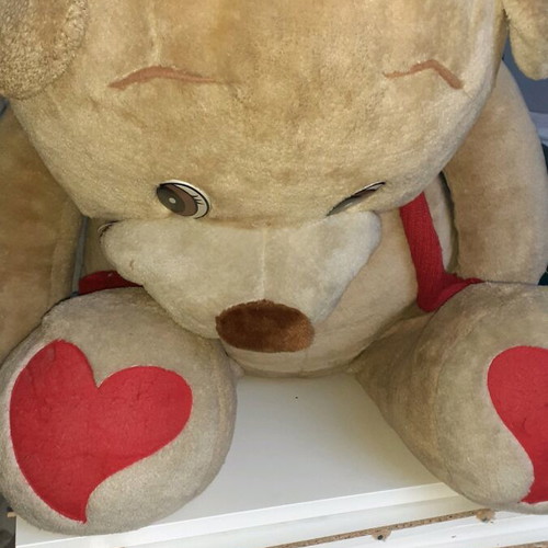 XXL teddy bear used with red bow and hearts