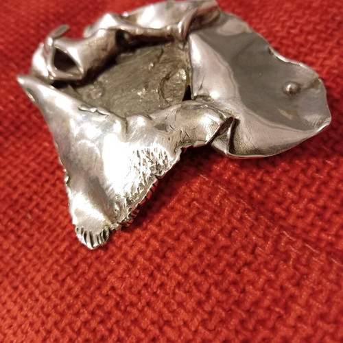Pin used