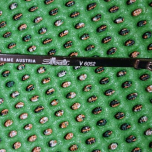 Silhouette eyeglass frames used