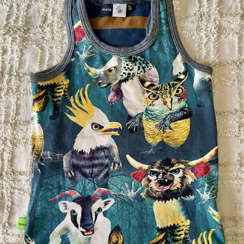 Boy's clothing set 2-3 years like new