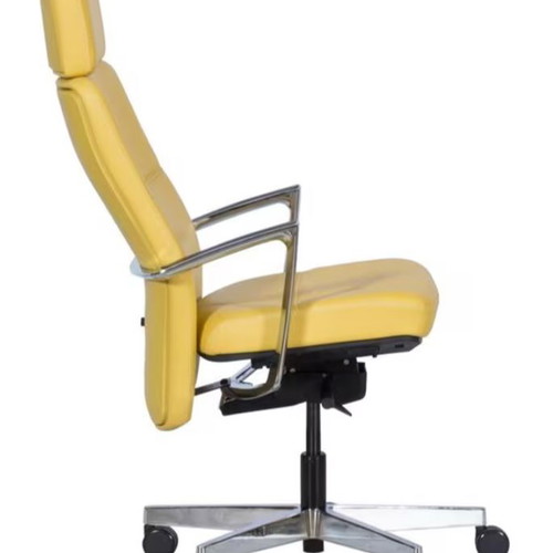 Ergoaction Sahara Executive Office Chair leather yellow new