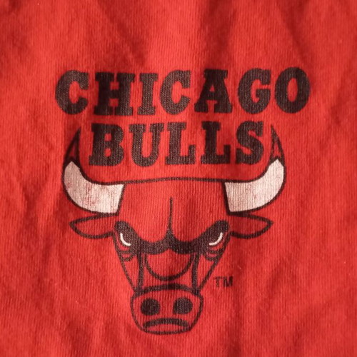 Vintage Chicago Bulls shorts used, authentic