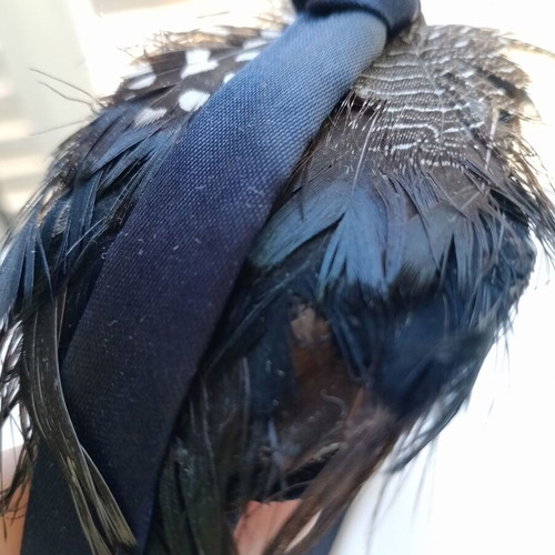Blue women's headband with feathers used