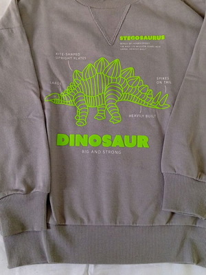 Sinsay φούτερ με Stegosaurus για αγόρι σε γκρι, 122 εκ.