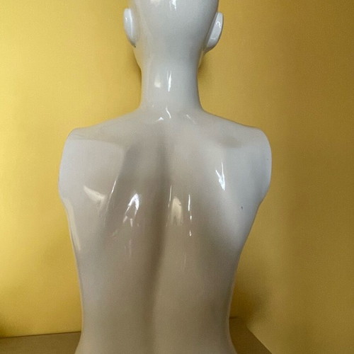 Mannequin torso used