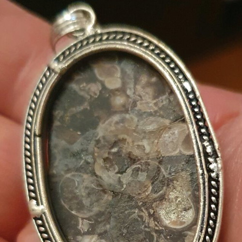 turritella pendant fossil stone