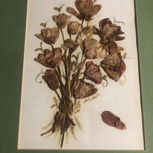 Frames with dried flowers bouquet like new, set of two