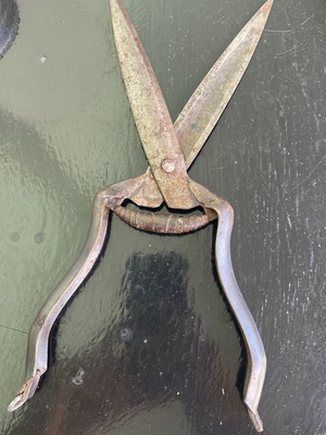 Vintage Forged Pruning Shears 30cm used, fully functional