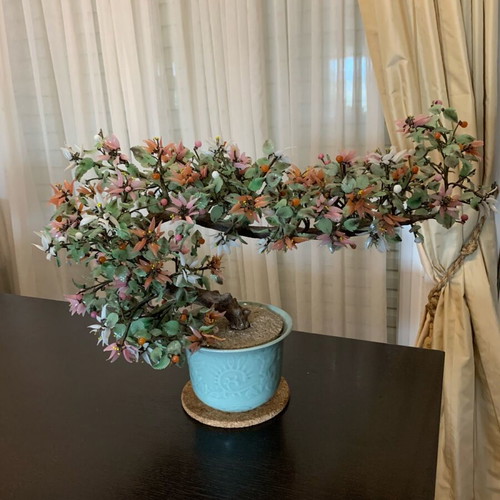 Bonsai jade tree collectible like new in ceramic pot