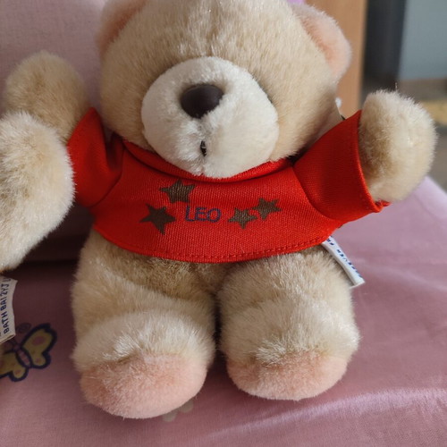 Forever Friends teddy bears like new with zodiac shirts Leo and Virgo