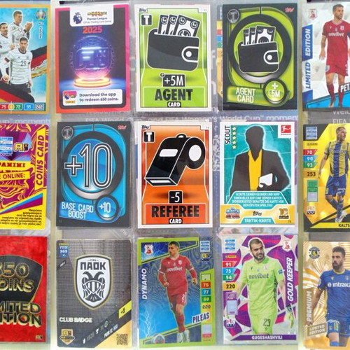 Panini sticker album with 270 special cards, complete