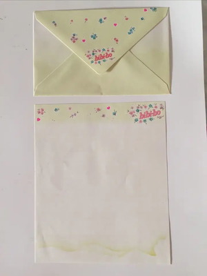 Bibibo stationery set new, lettuce color