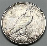 One dollar 1923 (silver coins) με πατίνα