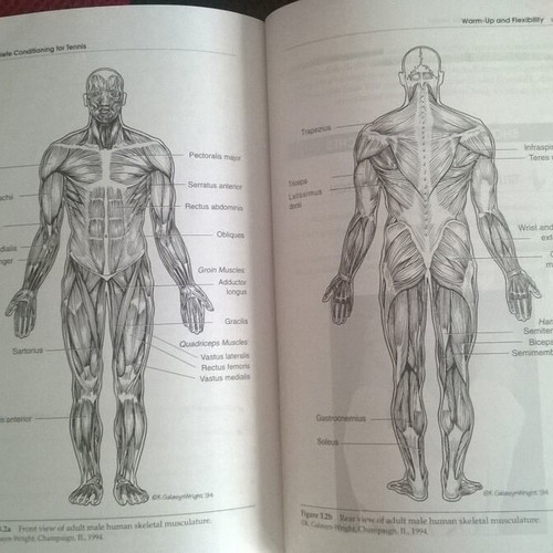 Book Complete Conditioning for Tennis used, Human Kinetics 1998