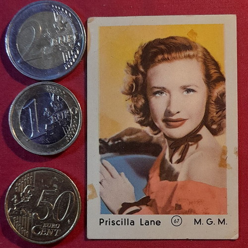 Priscilla Lane vintage collectible photo card M.G.M.