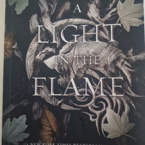 A Light in the Flame by Jennifer L. Armentrout