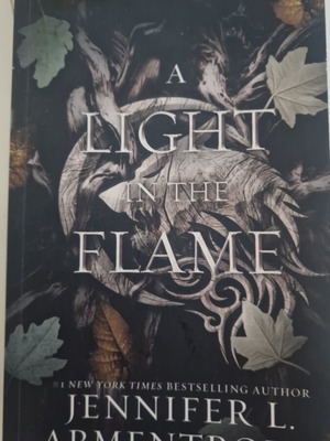 A Light in the Flame by Jennifer L. Armentrout