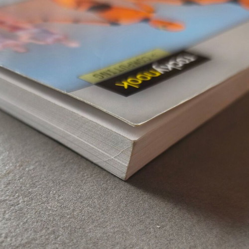 Testing in Scrum book like new, English