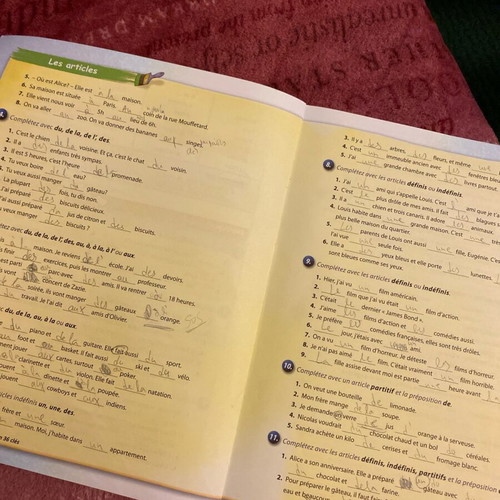 French Grammar Book like new