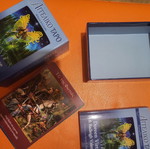 Angel Tarot deck new with guidebook