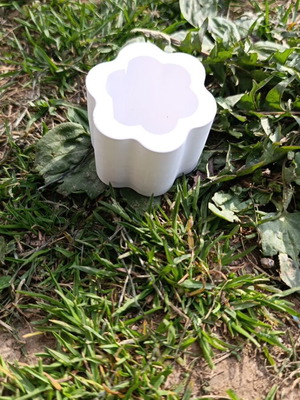 Gypsum planter new, decoration
