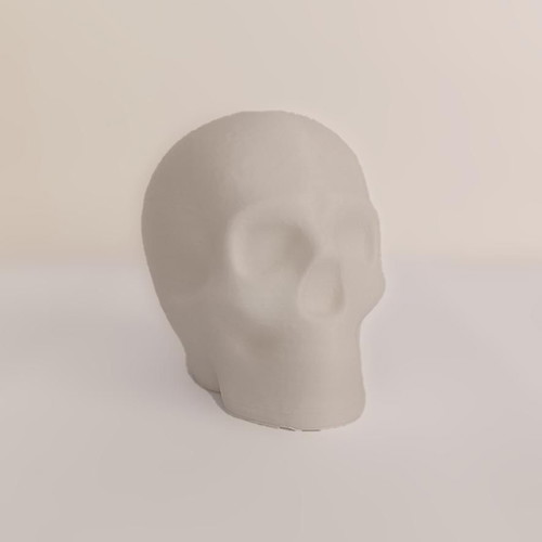 Skull pencil holder 3D printed new