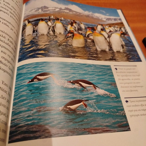 National Geographic Wild Animals Penguins Set Book and DVD Like New