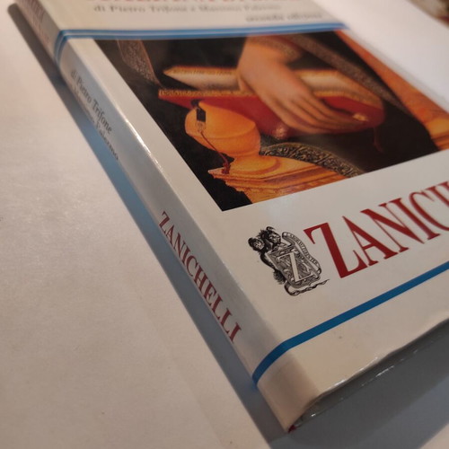 Basic Italian Grammar Zanichelli like new
