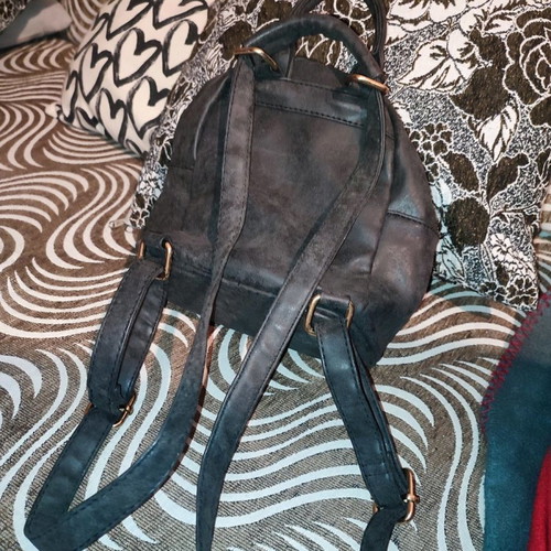 Small backpack used with small and large pocket