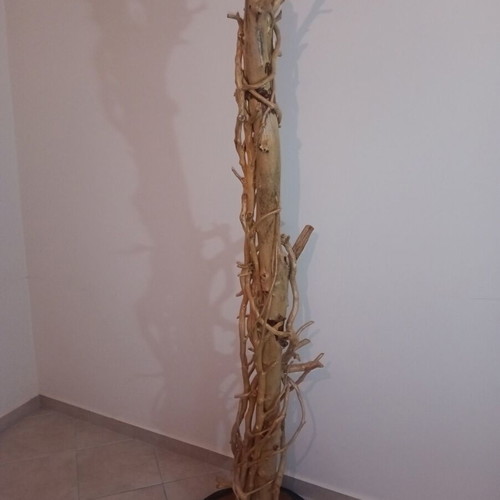 Handmade coat rack from natural driftwood new