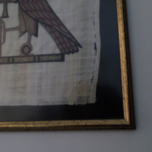 Egyptian papyrus with new frame