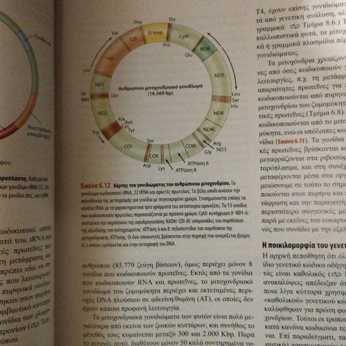 Brock Microorganisms Biology like new