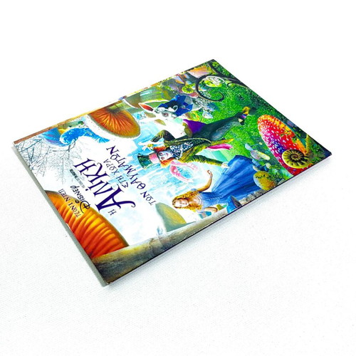 Alice in Wonderland DVD like new, fantasy, subtitles
