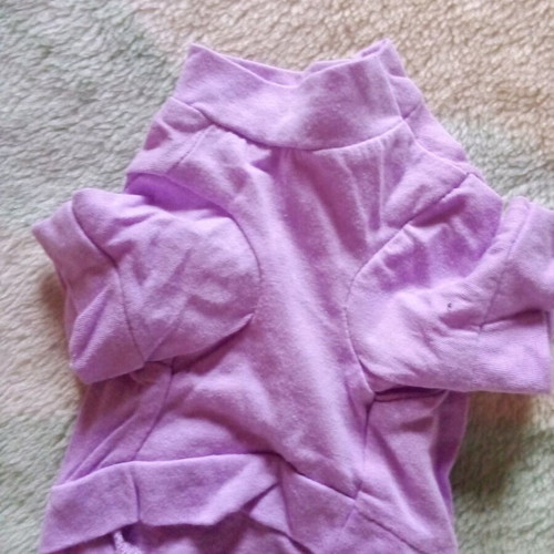 Clothing for small dog like new