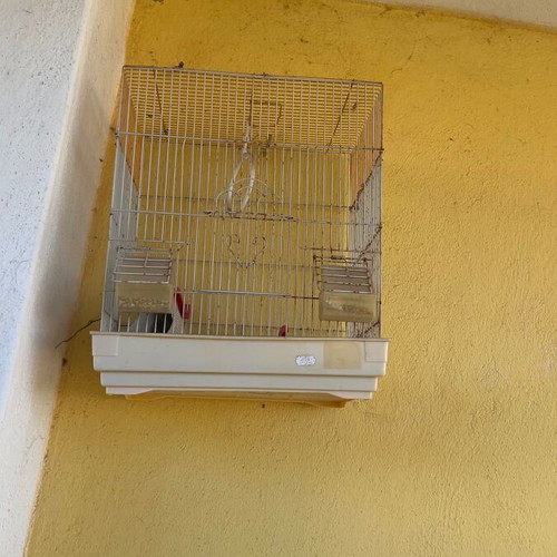 Birdcage large used with swing, waterer and two feeders