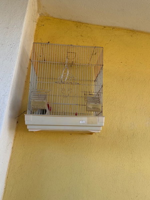 Birdcage large used with swing, waterer and two feeders