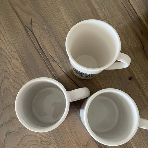 Starbucks mugs, set of 3, very large