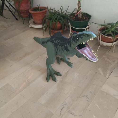 Jurassic World Mattel Dinosaur Figures used, 1 meter Tyrannosaurus and Gigantosaurus