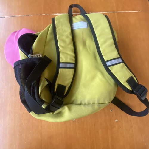 Polo butterfly-shaped kids backpack, colorful