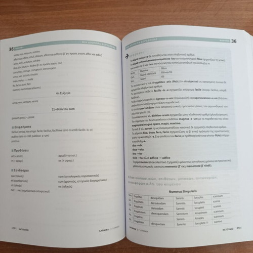 Latin Study Guide for Theoretical Direction B-G Lyceum, like new