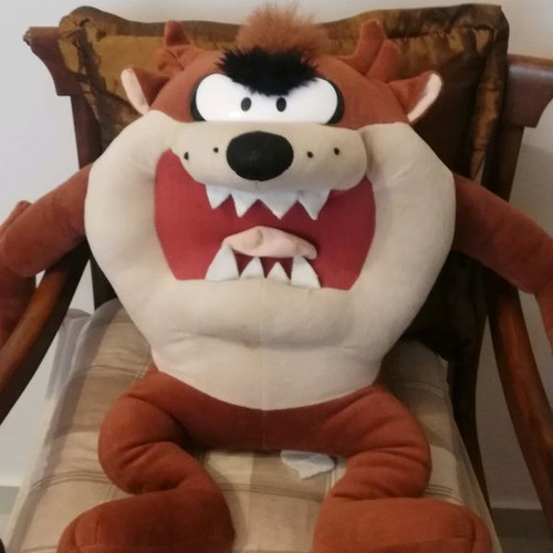 Large Taz plush used
