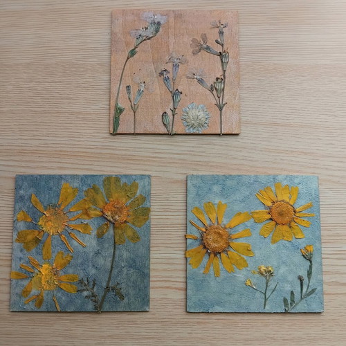 Set of 3 handmade frames with dried flowers new