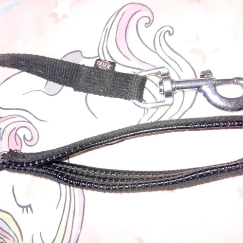 Very long used leash