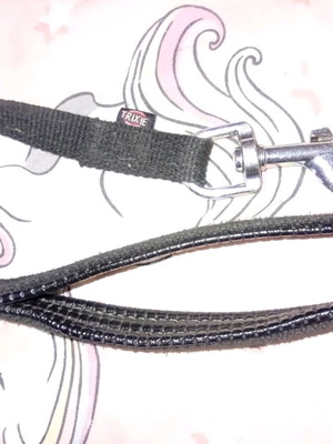 Very long used leash